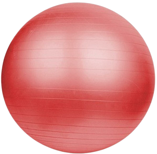Lopta Arte - GYMNIC - cvičebná lopta pre správne držanie tela - 2